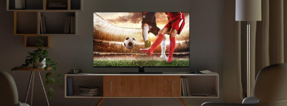 Zur Fußball-EM: TeraVolt entwickelt interaktive App für Vestel-Fernseher