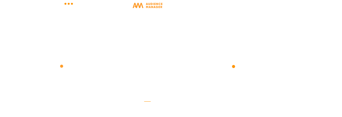 Audience-Manager-Engine